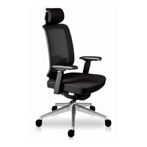 Finisterre Negra Cabecera